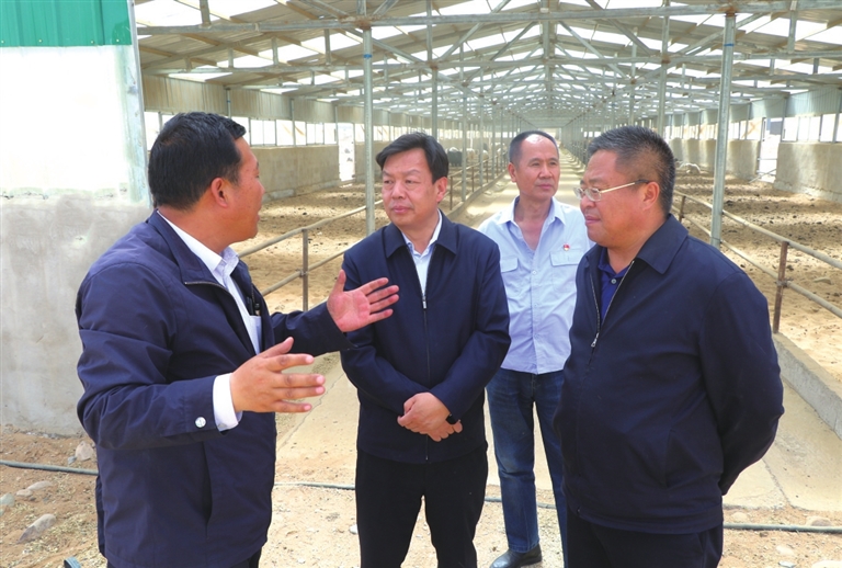 積極引導產業創新 實現“造血式”脫貧